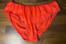 Vtg SILKY NYLON Gusset Panties sz L Second Skin Shiny USA Rare Sheer RED HOT
