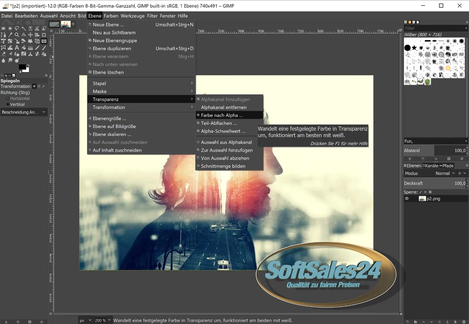✅ GIMP 2024 CD DIGITAL BILD FOTO BEARBEITUNG GRAFIK EDITOR FÜR WINDOWS 7-8-10-11 - Bild 2 von 3
