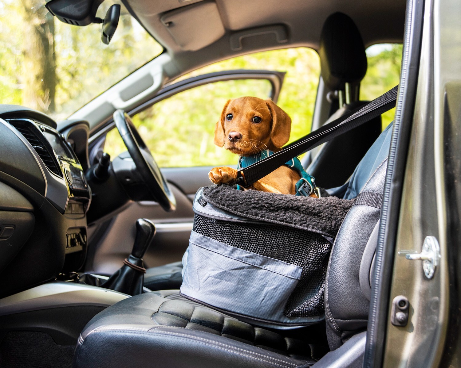 Henry Wag Pet Car Booster Seat