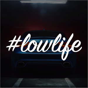 Lowlife Low Life Sticker Vinyl Decal Jdm Lowered Car Truck Suv Fits Honda Acura Ebay