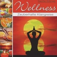 Wellness-Zauberhafte Klangreise Von Various | Cd | Zustand Neu