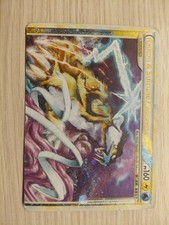 Raikou & Suicune Leggenda Prima Metà 92/95