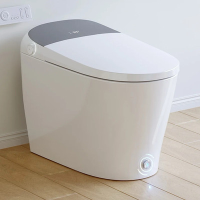HOROW Smart One-Piece Elongated Toilet T03 Siphon Single Flush White/Gray
