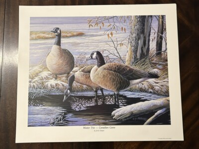 Winter Trio - Canadian Geese Signed Limited Edition Print Jerrie Glasper 22x18.5