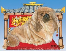 Pekingese Blank Note Card