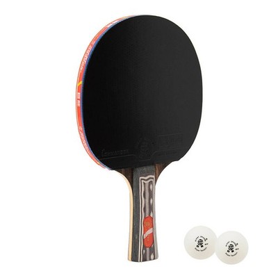 Giant Dragon Tischtennisschläger 9 Sterne ITTF Set + 2 Bälle Tasche Ping Pong