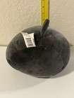 Original Squishmallows Bongo Pug 8”Squishy Plush BlackGray Puppy Dog W/Bone USED — photo 8