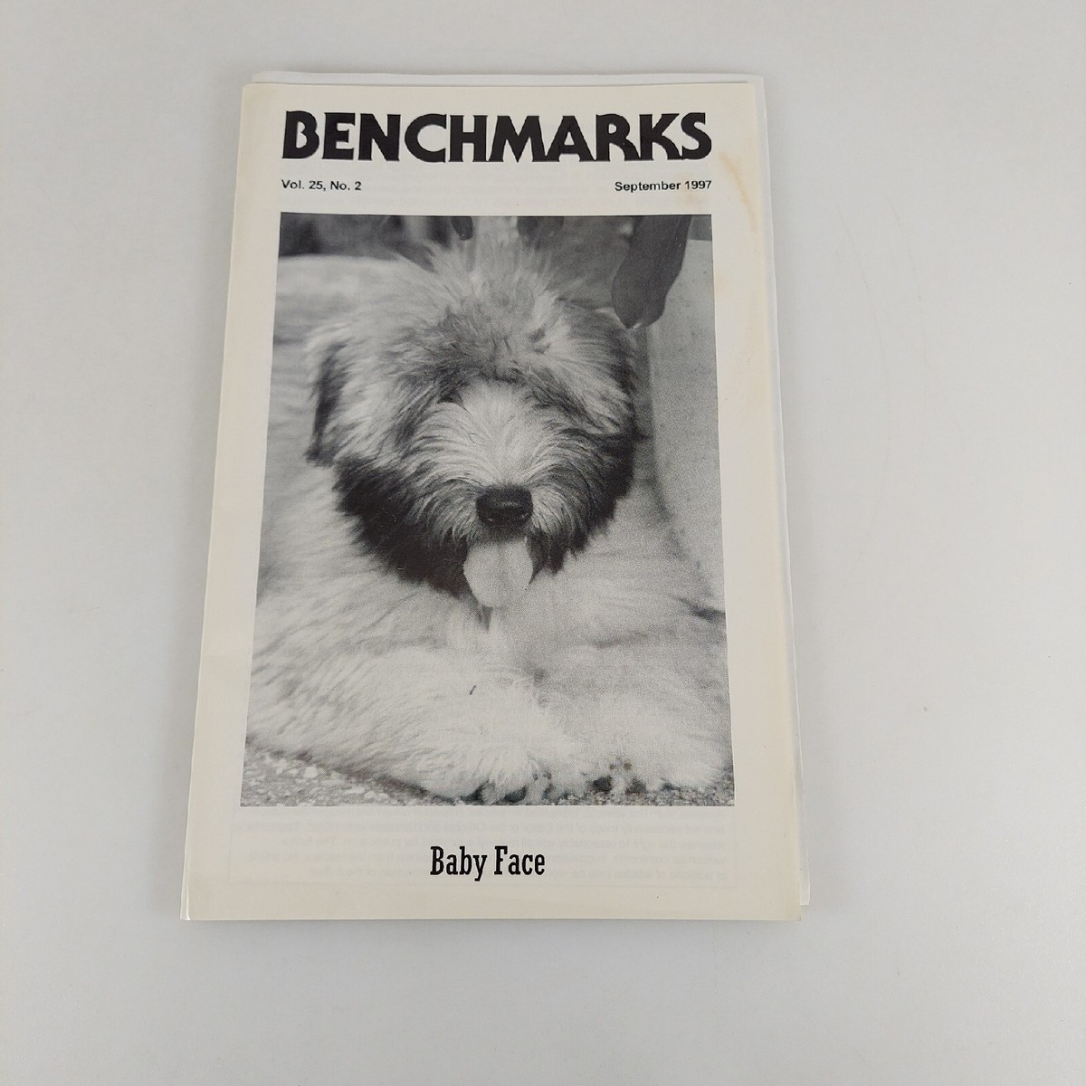 Jumpsuit Shein Tute Da Passeggio Tute Jumpsuit Zara Tute Intere