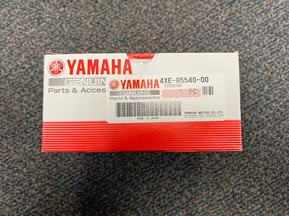 2002 Yamaha Bear Tracker 250 OEM CDI Unit F8t19871 for sale