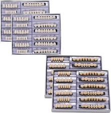 False Teeth Fake Teeth Model, 168pcs Teeth Upper and Lower Synthetic Resin Te...