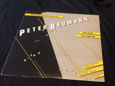 Peter Baumann Daytime Logic 12 Inch Vinyl Single Portrait prod. by Robert Palmer