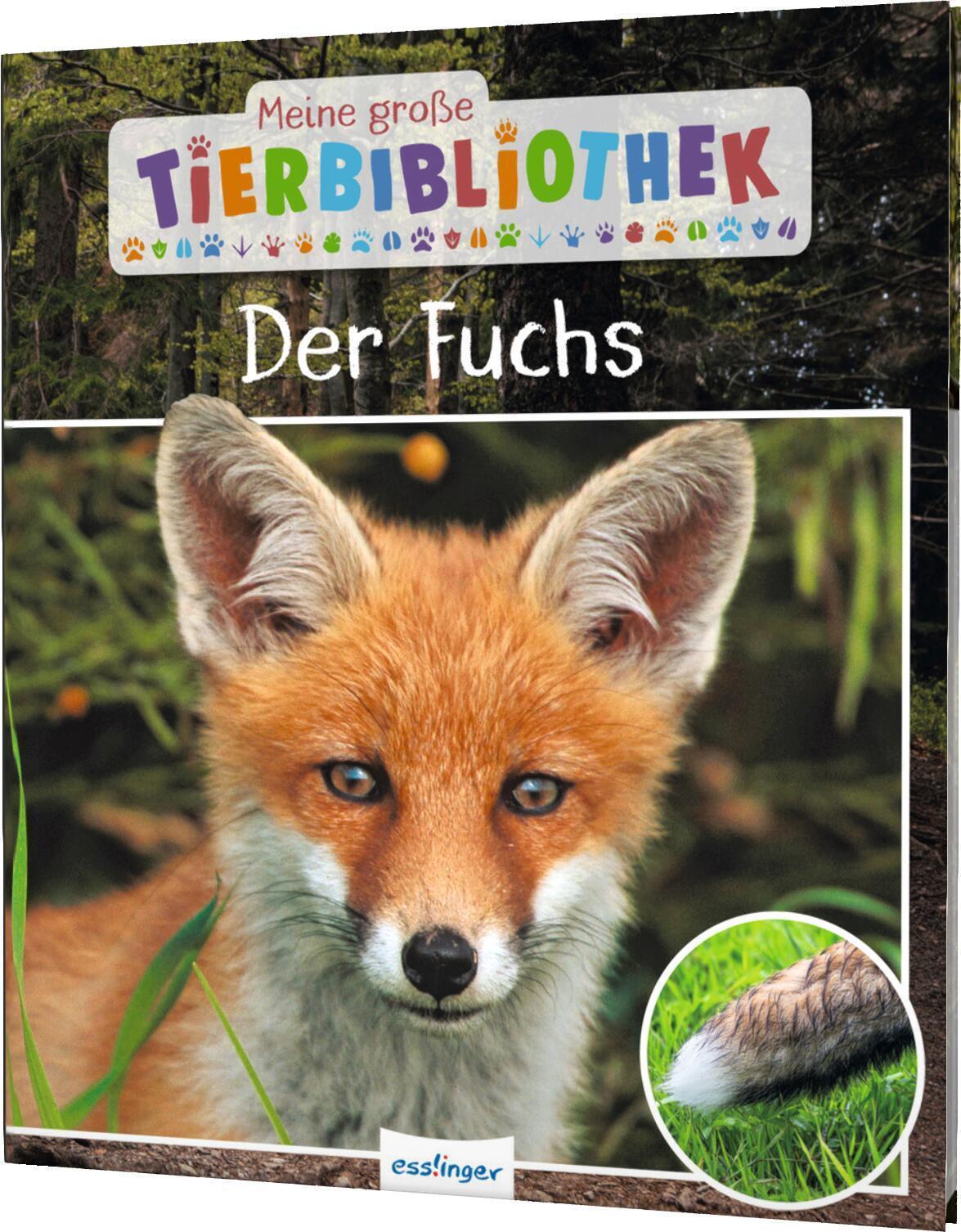 Meine Große Tierbibliothek: Der Fuchs - Christian Havard -