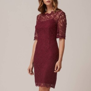 sasha lace cocktail dress
