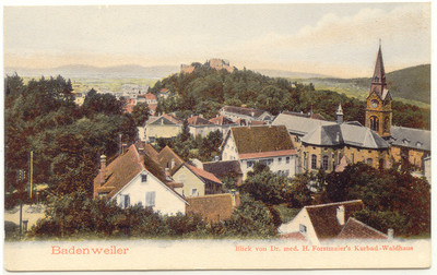 D BADENWEILER 1905 ungebr. AK handkoloriert Blick von Dr. med. H. Forstmaier's