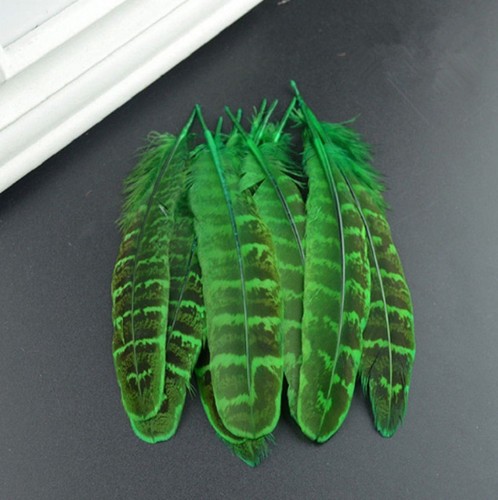 Pheasant Feathers 10-15cm Colour Fly Craft Hat Arts Decorations Wedding UK - Picture 16 of 22