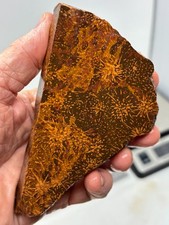Spider Jasper end cut Slab aka Starburst slab Lapidary Cabbing Combo Ship Avail