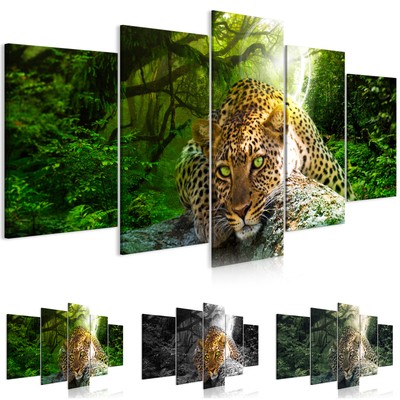 TIERE WALD LAMPARD LEOPARD Wandbilder xxl Bilder Vlies Leinwand g-C-0075-b-n