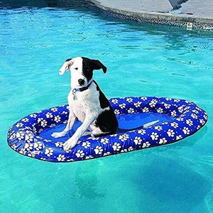 inflatable dog pool float