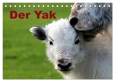 Bernd Witkowski | Der Yak (Tischkalender 2026 DIN A5 quer), CALVENDO...