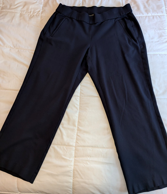Women's Size 18/20 Regular Navy Blue Heavier Weight Casual Pants-Lane Bryant