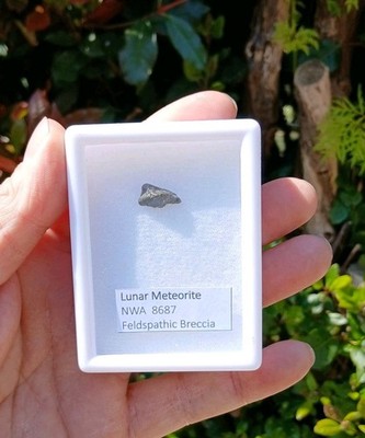 Mondmeteorit NWA 8687 echtes Mondgestein Präparat Marokko 