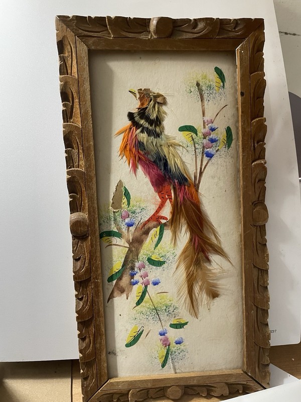 Kitschy Old Feather Art Picture In Nice Frame- 1960s