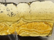 Scenic Chicken Track Picture Jasper Slab, Lot#897
