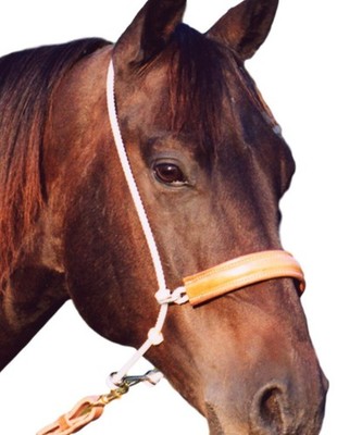 Martin Saddlery Tie Down Double Rope Headset Leather Cover White HTDRL