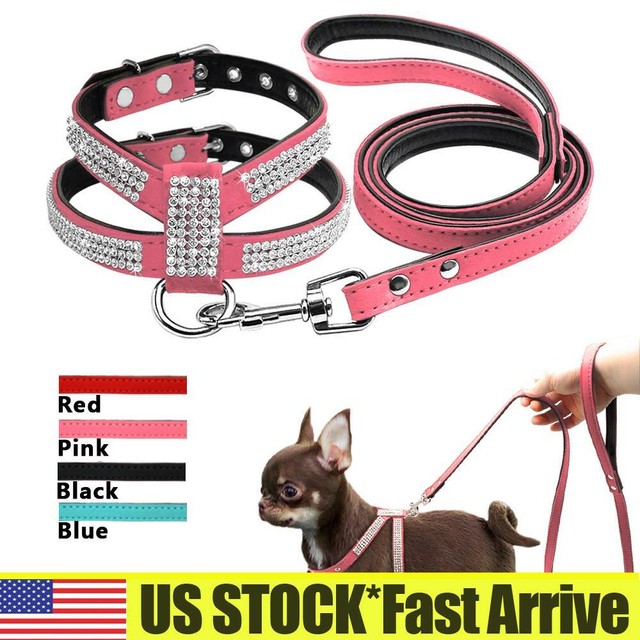 dog leads online