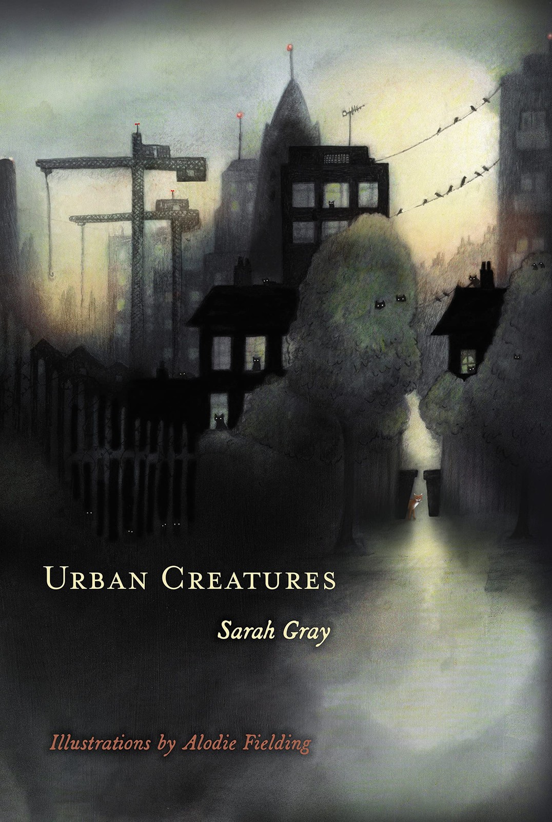 Urban Creatures by Sarah Gray 9781634050333 NEW Free UK Delivery - Image 7