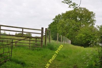Foto A2 West Somerset: Grasfeld Dulverton Eine Wiese im Westen c2014