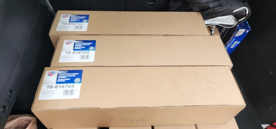 Conjunto de puntal de suspensión CARQUEST 18-816705 ¡NUEVO! - Hyundai Azera, Sonata Foto 2 de 2