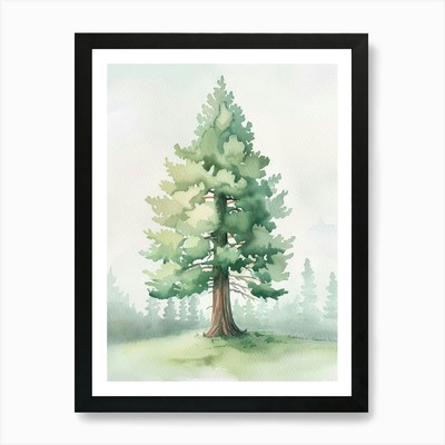 Mammutbaum atmosphärisches Aquarell gerahmtes Wandbild Poster Leinwanddruck Bild