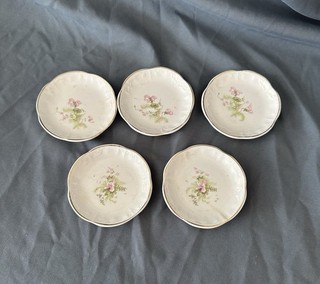 Maddock’s Lamberton Works Royal Porcelain Butter Pats (5) Pink Green Florals