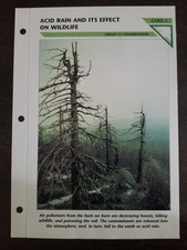 Acid Rain Its Effect on Wildlife Fact File Card Conservation Home School 11.5