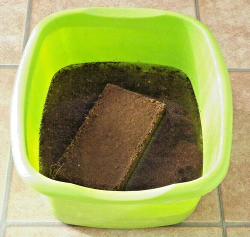 Potting Soil Compost Coco Coir Eco Brick Block Expands Up To 10L Just Add Water - Picture 7 of 11