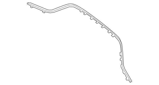 Mercedes Benz Genuine E 53 AM 2019-2023 Rear Center Lower Molding