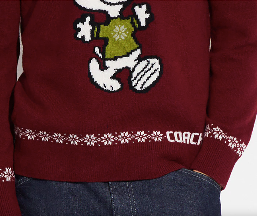 jumbo124826 COACH PEANUTS セーター NEW Coach X Peanuts Snoopy Mens