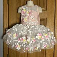 A Wish Come True Ain  t She Sweet Pink Floral Tutu Ballet Dance Costume SC V2361Y