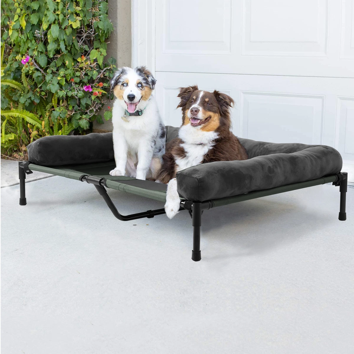 Are Raised Dog Beds Better