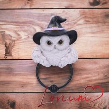 Original Nemesis Now Schneeeule magischer Türklopfer 21 cm Geschenk Wohndeko