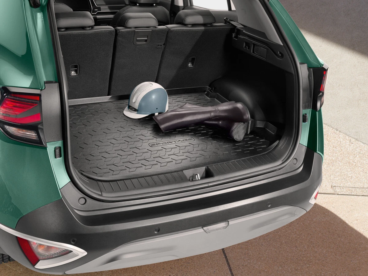 Tappetini da pavimento per auto Easy Clean 5D per KIA Tappeto di Cadenza - Cina Accessori auto, Accessori auto