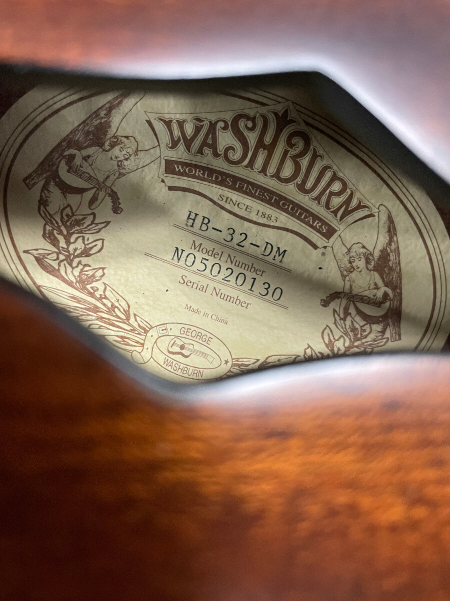 Washburn HB32DM Hollowbody Electric Distressed Matte Mahogany