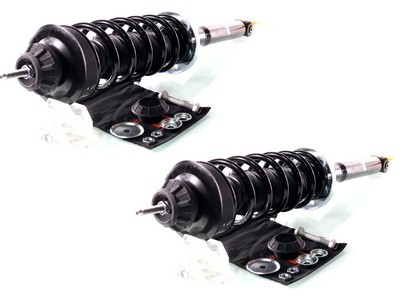 2x Komplett Stoßdämpfer Federbein Satz Hinten für Golf III Cabrio Golf IV Cabrio