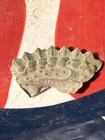 Dug Civil War 💥 🇺🇸  Section Jeff Davis Hat Pin Insignia