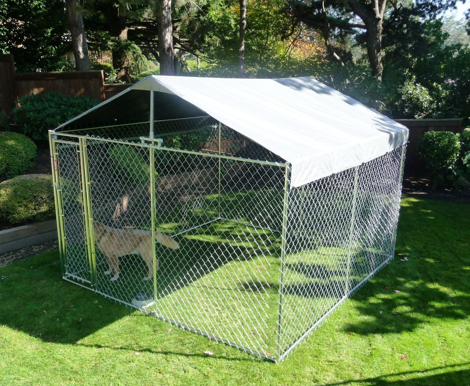 dog canopy outdoor