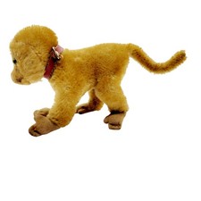 1950s Steiff Coco Baboon Monkey Realistic Collection Mohair Plush Glass Eye