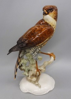 Hervorragender 30 cm Deutscher Hutschenreuther Porzellan Falke / Falke