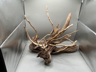 Aquarium Treibholz Handarbeit Aquascape Unikat - Risebound Root