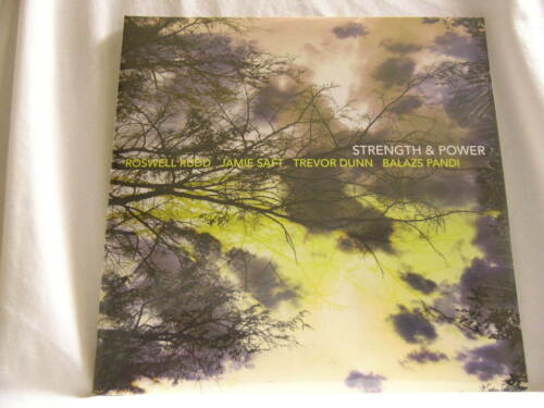ROSWELL RUDD Strength & Power Jamie Saft Trevor Dunn 180 gram vinyl SEALED 2 LP - Picture 1 of 2